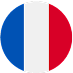 fr-fr Language selector icon