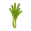 Citronella