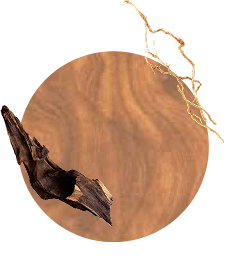 Earthy scent family