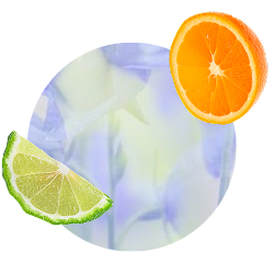 Fresh scent family