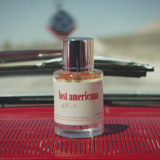 Lost Americana – Dossier EU